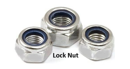 OASIS NUTS