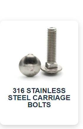 OASIS SCREWS